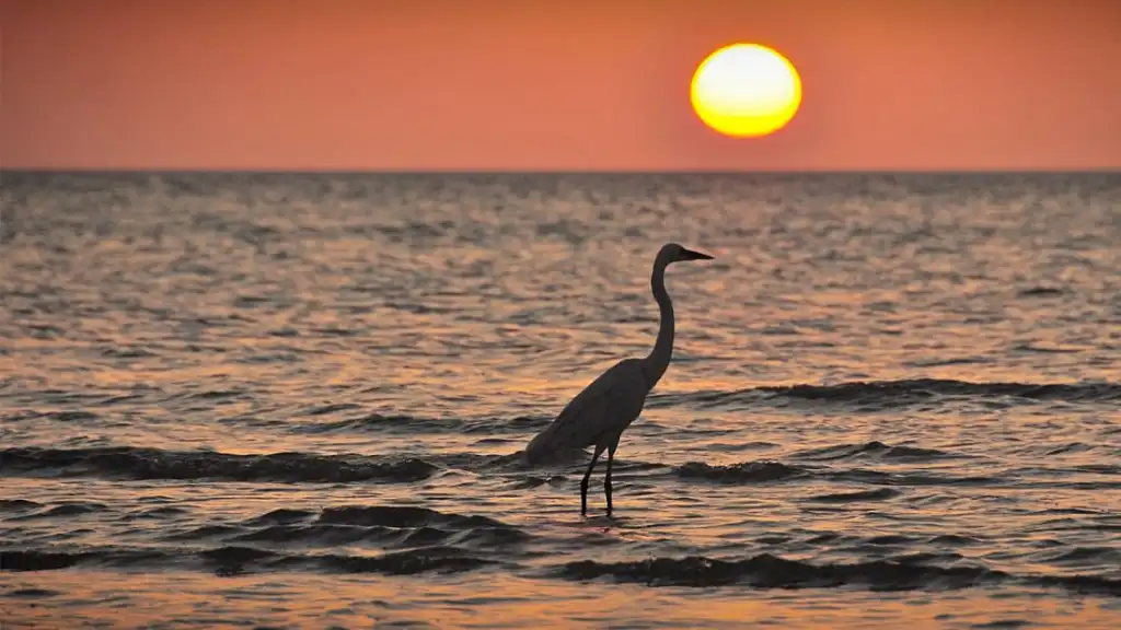 cnn holbox 8