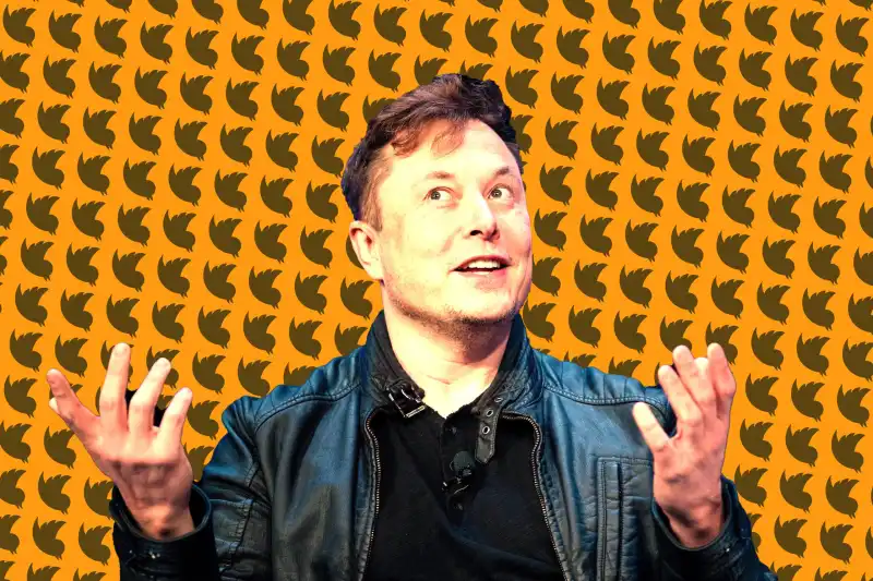 elon musk twitter naranja 2 scaled 1