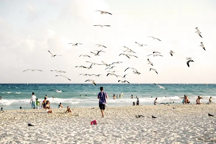 playa del carmen