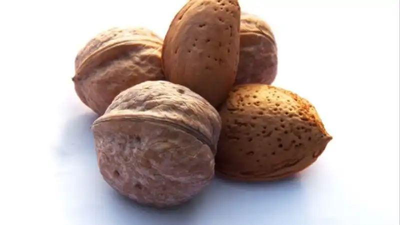 nueces