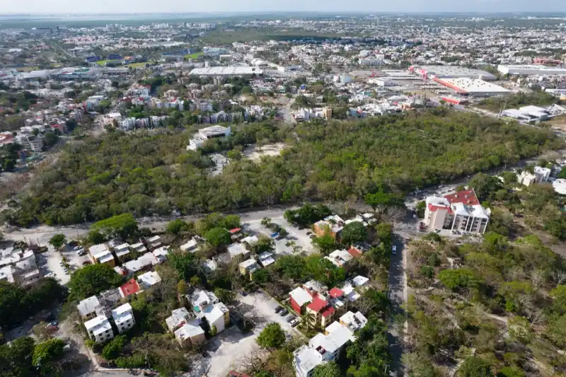 Paque ecológico verde