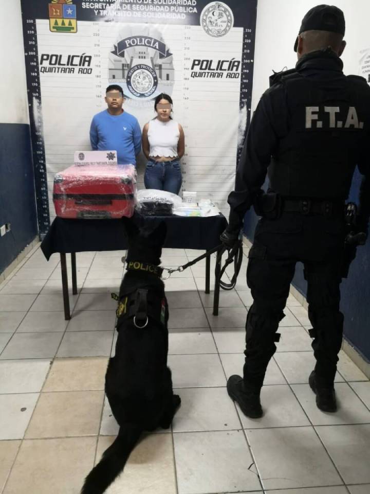 Capturada pareja con narcóticos en Playa del Carmen tras operativo policial