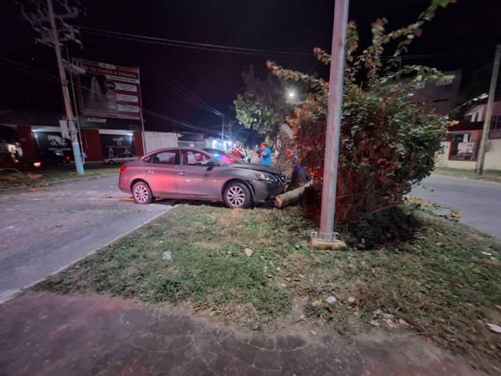 Desafortunado Incidente en Calzada Veracruz, Chetumal: Conductora Pierde Control y Derriba Palmera
