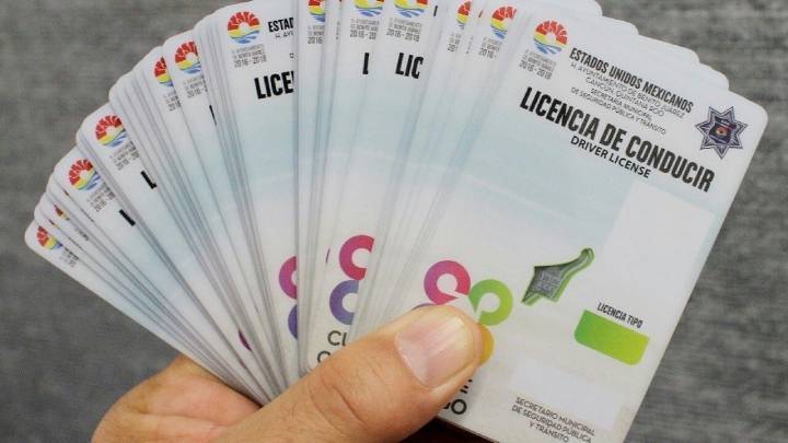 Dificultades en la Emisión de Licencias de Conducir en Quintana Roo