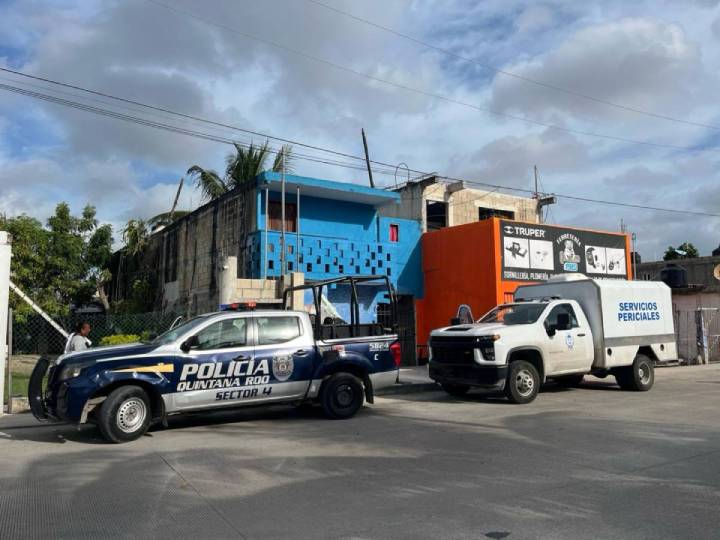 Desarticulan Red de Robo de Motocicletas en Cancún: 10 Unidades Recuperadas