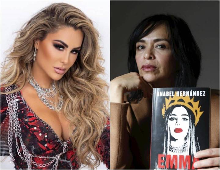 Ninel Conde Responde Legalmente a Acusaciones de Vínculos con Crimen Organizado