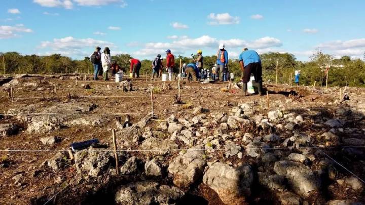 Alegan Destruccion y Saqueo en Areas Arqueologicas por Proyecto del Tren Maya 2