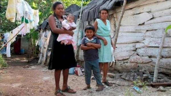 Inicia búsqueda de capacitadores electorales multilingües en Quintana Roo