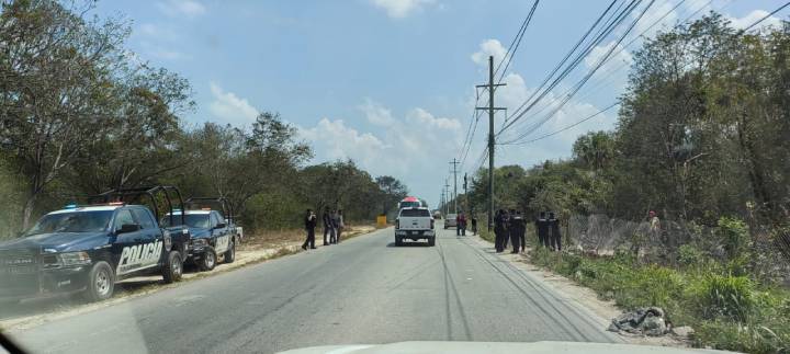 Persiste retorno de intrusos a terrenos cercanos a Las Torres incendian bosque y usan maquinaria pesada 2