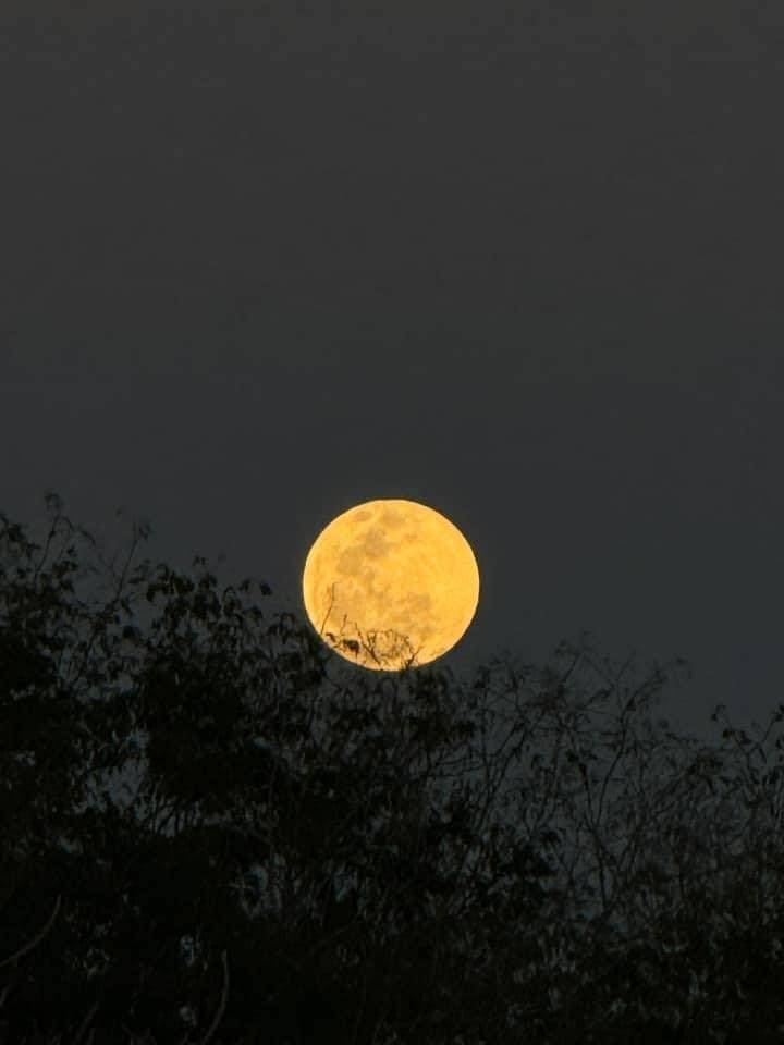 Primer eclipse lunar este lunes a las 23 horas