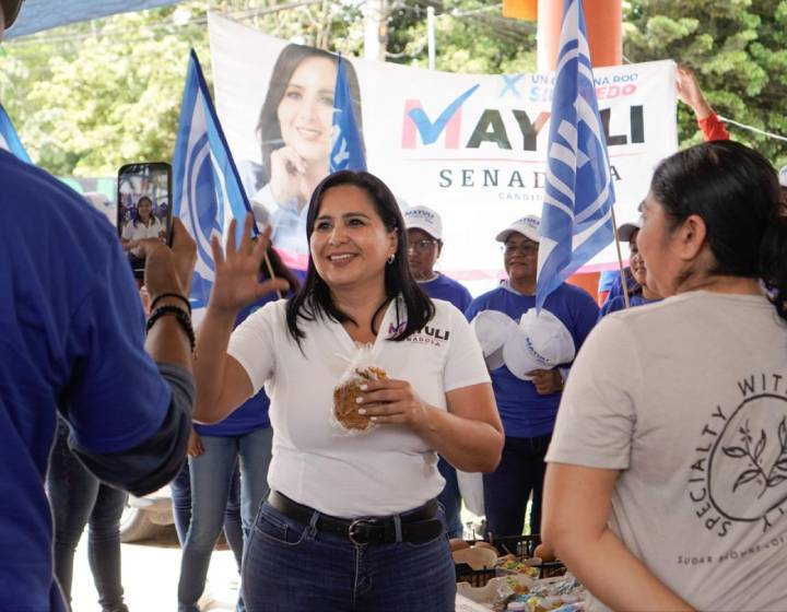 Críticas a la Gestión de Derechos Humanos en México