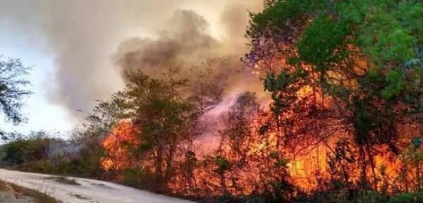 Desamparo de Autoridades Frente a Incendios en Solidaridad