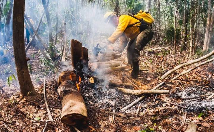 Emergencia por Incendios Forestales en Quintana Roo