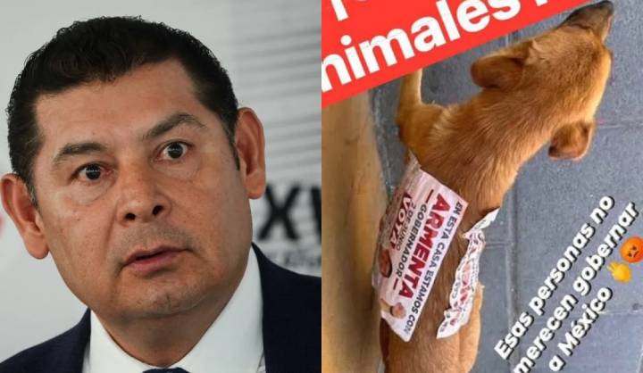 Escándalo por Fotografía de Mascota Usada como Soporte de Propaganda Electoral