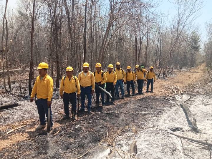 Esfuerzos coordinados para frenar incendios en Quintana Roo 1