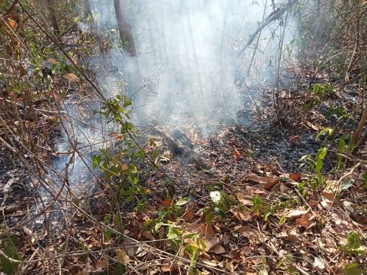 Esfuerzos para Apagar Fuegos en Tulum y Bacalar