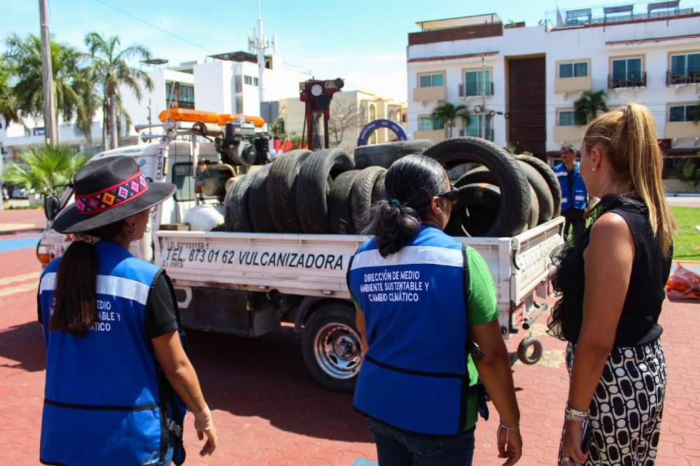 Únete al Kilo Verde y Croquetón 2024 en Playa del Carmen este 19 de abril para contribuir a la reforestación y ayudar a alimentar caninos en la colonia Nicte Ha, Ciudad Mayakobá y Misión del Carmen.