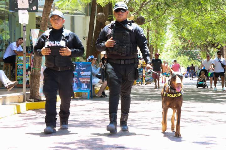 Temporada vacacional sin incidentes en Solidaridad 1