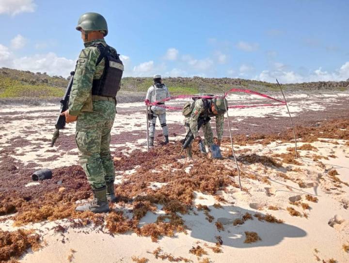 Confiscan Dos Paquetes de Cocaína en Cozumel