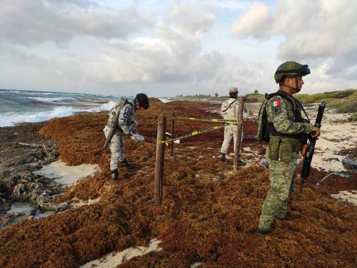 Hallan Cuatro Paquetes de Marihuana en Costas de Cozumel