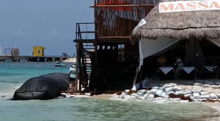 La Erosión de Playas en Solidaridad por las Corrientes y el Oleaje