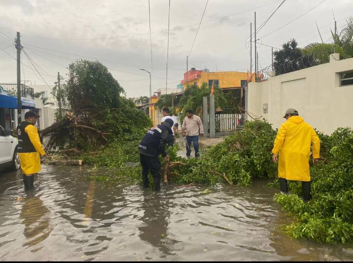 Acciones de Emergencia en Quintana Roo Ante Intensas Lluvias