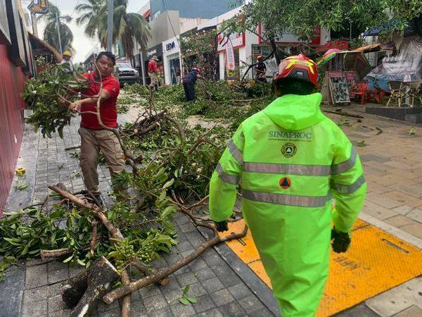 Impacto de Tormenta en Solidaridad: Árboles y Postes Caídos