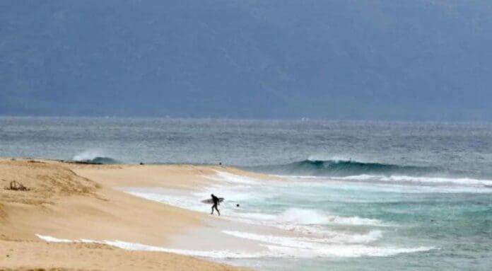 Tragedia en Hawai: Surfista Profesional Pierde la Vida en Ataque Mortal de Tiburón