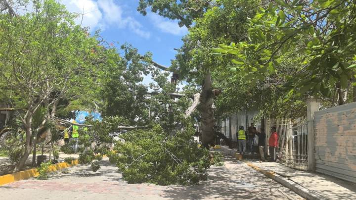 Colaboracion entre gobierno y sector privado para proteger el medio ambiente 2