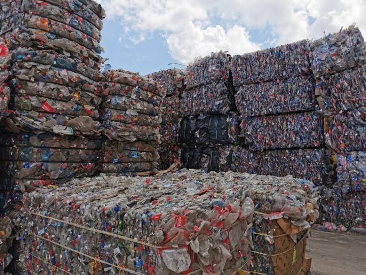 ECOCE Un Ejemplo Global de Reciclaje Reconocido por el World Economic Forum 2