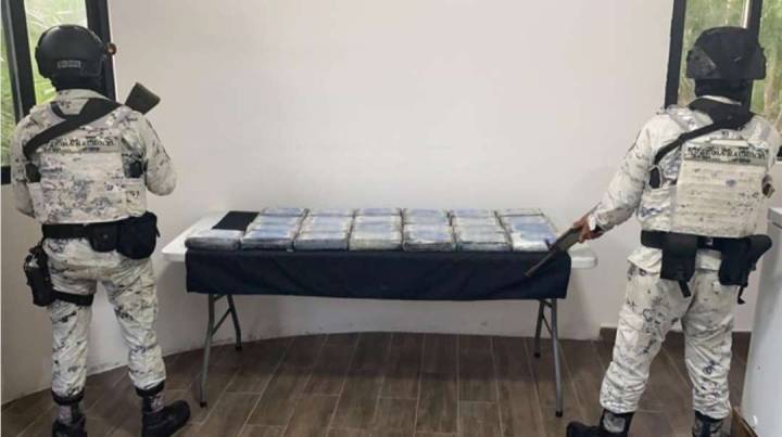 Incautan 25 Kilos de Cocaína en Tulum