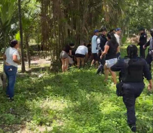 Niña de 11 años rescatada tras ser atada a un árbol en Cancún