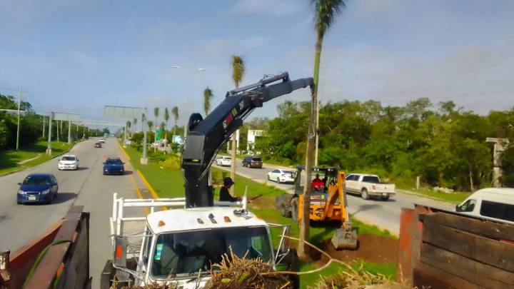 Renuevan el camellón de la carretera federal en Playa del Carmen