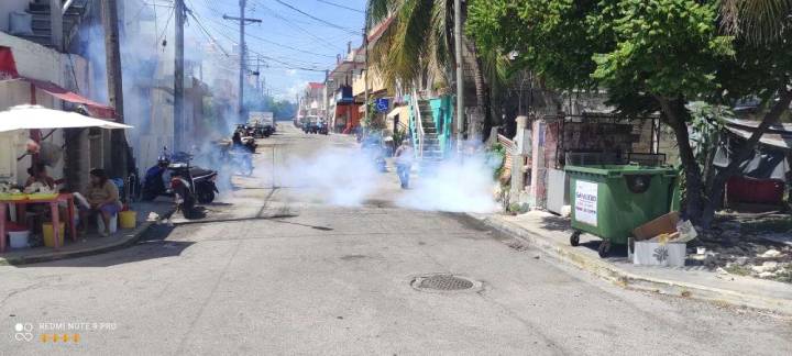 Intensifican el Combate al Dengue en Isla Mujeres