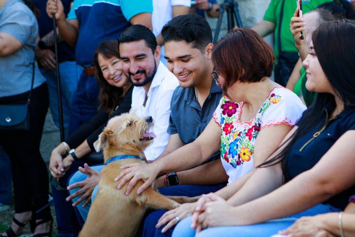 Estefania Mercado impulsa proyecto para renovar el Centro de Bienestar Animal en Solidaridad 2