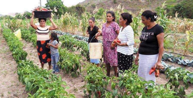 AMLO brindara certificados de tenencia de tierras agrarias a mujeres en Chetumal 1