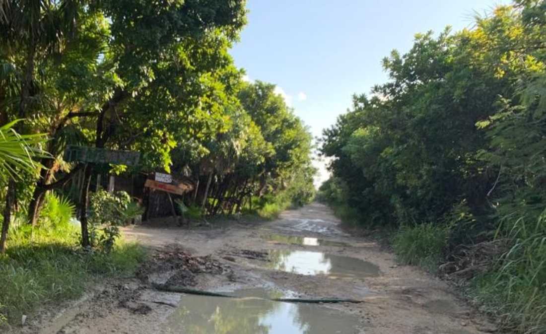 AMLO responderá a la solicitud de regularización de predios en Punta Allen, Tulum