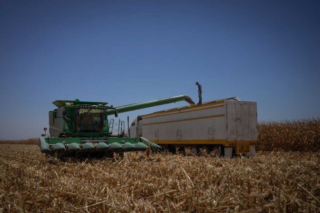 Agricultores de Sinaloa desbloquean aeropuerto de Culiacán tras negativa de López Obrador al "chantaje"