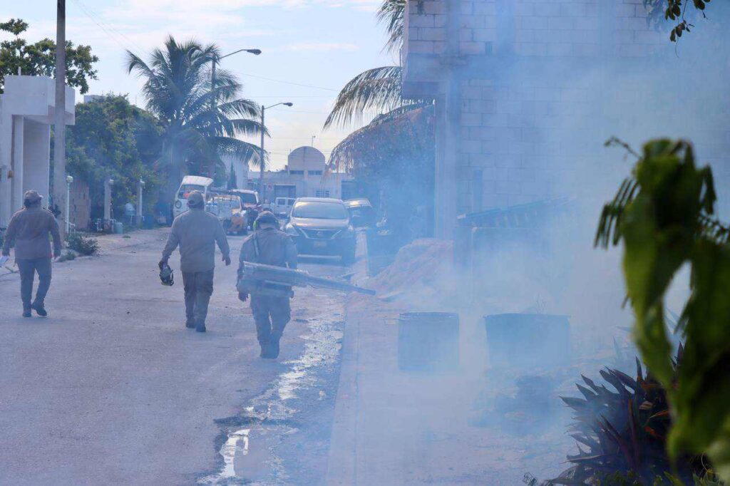 CON TRABAJO COORDINADO ENTRE GOBIERNO DE PUERTO MORELOS Y SESA COMBATEN AL MOSCO TRANSMISOR DEL DENGUE 1