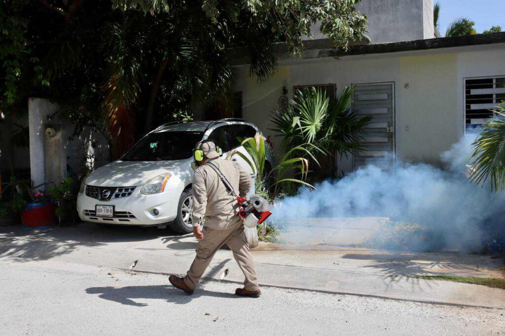 CON TRABAJO COORDINADO ENTRE GOBIERNO DE PUERTO MORELOS Y SESA, COMBATEN AL MOSCO TRANSMISOR DEL DENGUE 1 CON TRABAJO COORDINADO ENTRE GOBIERNO DE PUERTO MORELOS Y SESA COMBATEN AL MOSCO TRANSMISOR DEL DENGUE 2