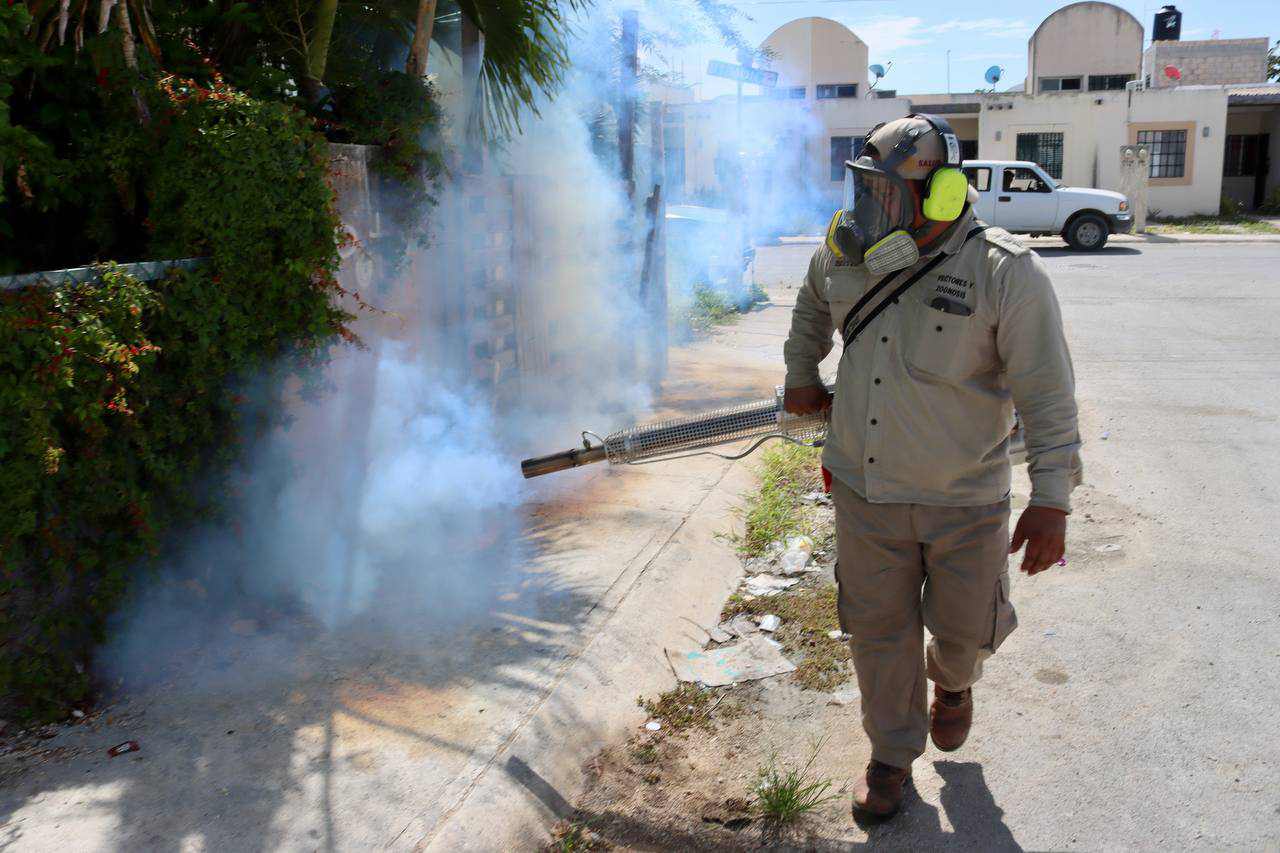 CON TRABAJO COORDINADO ENTRE GOBIERNO DE PUERTO MORELOS Y SESA, COMBATEN AL MOSCO TRANSMISOR DEL DENGUE