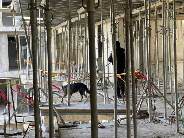 Canino descubre un arma de fuego y narcóticos en una obra en construcción 1 Canino descubre un arma de fuego y narcoticos en una obra en construccion 1