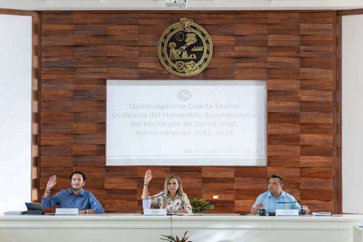 Decisiones para Mejorar la Vida y la Seguridad en Playa del Carmen