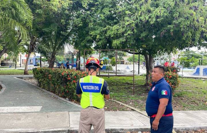 Desatencion con Pirotecnia Conduce a Incendio en Zona Recreativa 1