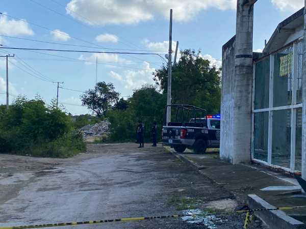 Descubren el cadáver de una persona con heridas de arma blanca en la zona verde de Cancún