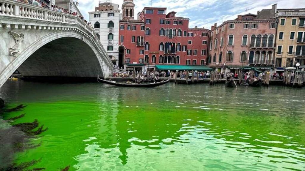Descubren una misteriosa y luminosa mancha verde en el canal Trax de Venecia