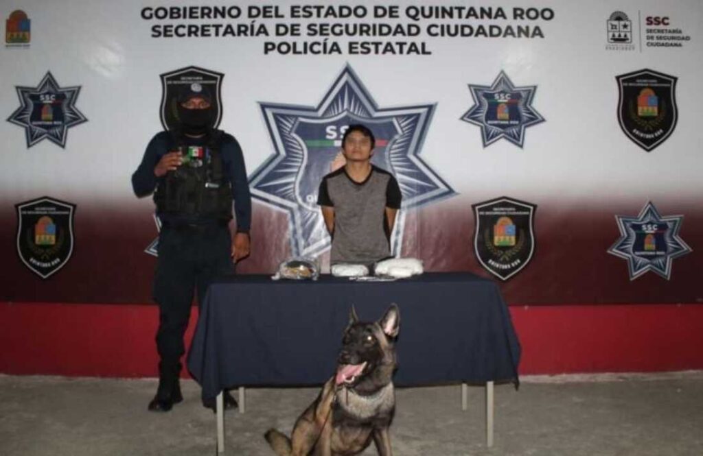 Detención de individuo con drogas en la terminal de autobuses de Cancún