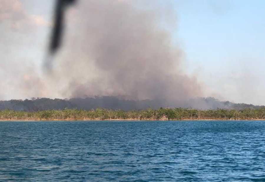 Devastador incendio en Xul-Ha destruye 50 hectáreas de selva y mangle