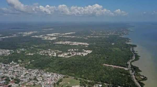 El sargazo en Quintana Roo una problematica compleja que requiere soluciones integrales 2