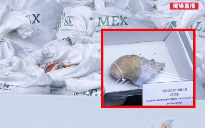 Enorme Confiscacion de Metanfetamina en Hong Kong Oculta en Envio de Conchas de Caracol desde Mexico 2